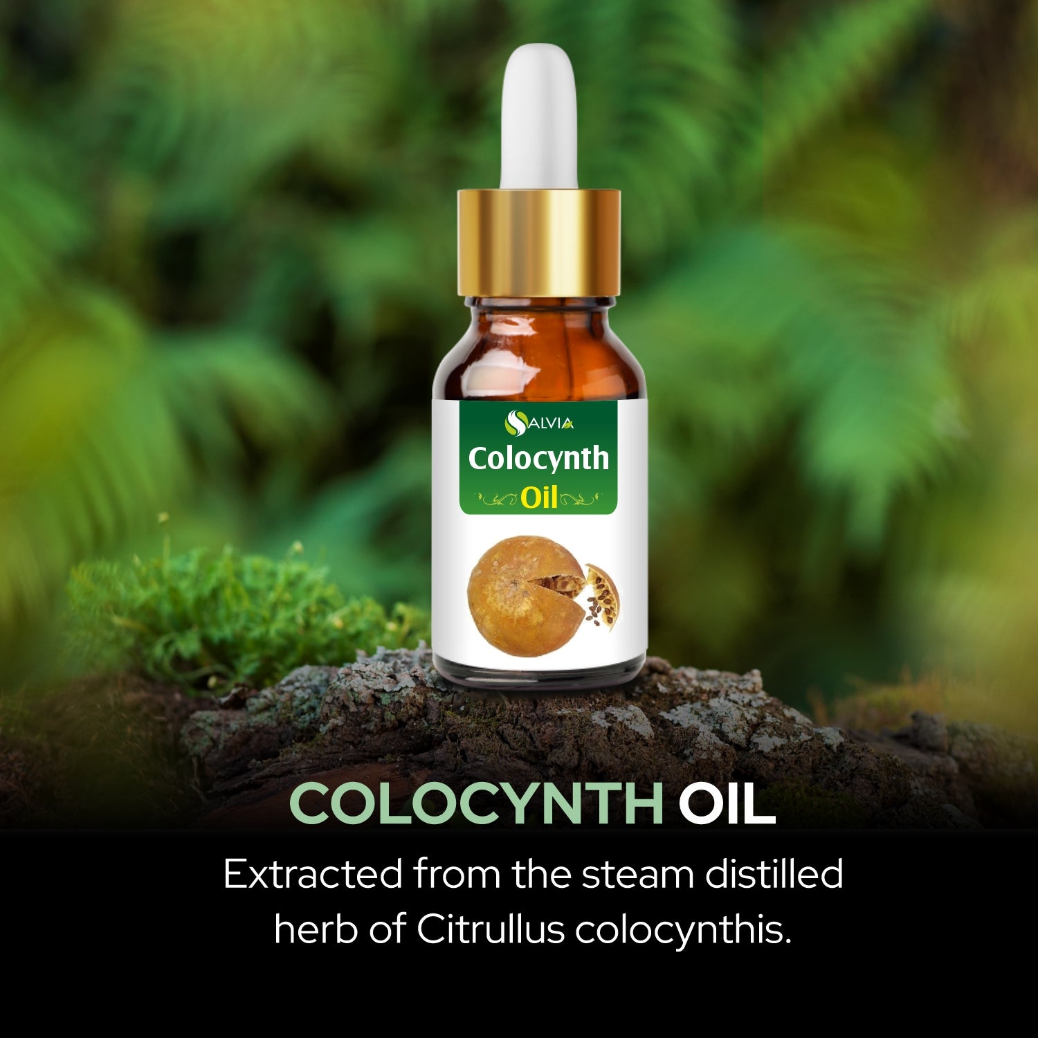 Salvia Natural Essential Oils,Dandruff,Greasy Oil,Anti Fungal,Anti-fungal Oil,Oil for Greasy Hair Colocynth Oil Salvia Natural Essential Oils,Dandruff,Greasy Oil,Anti Fungal,Anti-fungal Oil,Oil for Greasy Hair Colocynth Oil